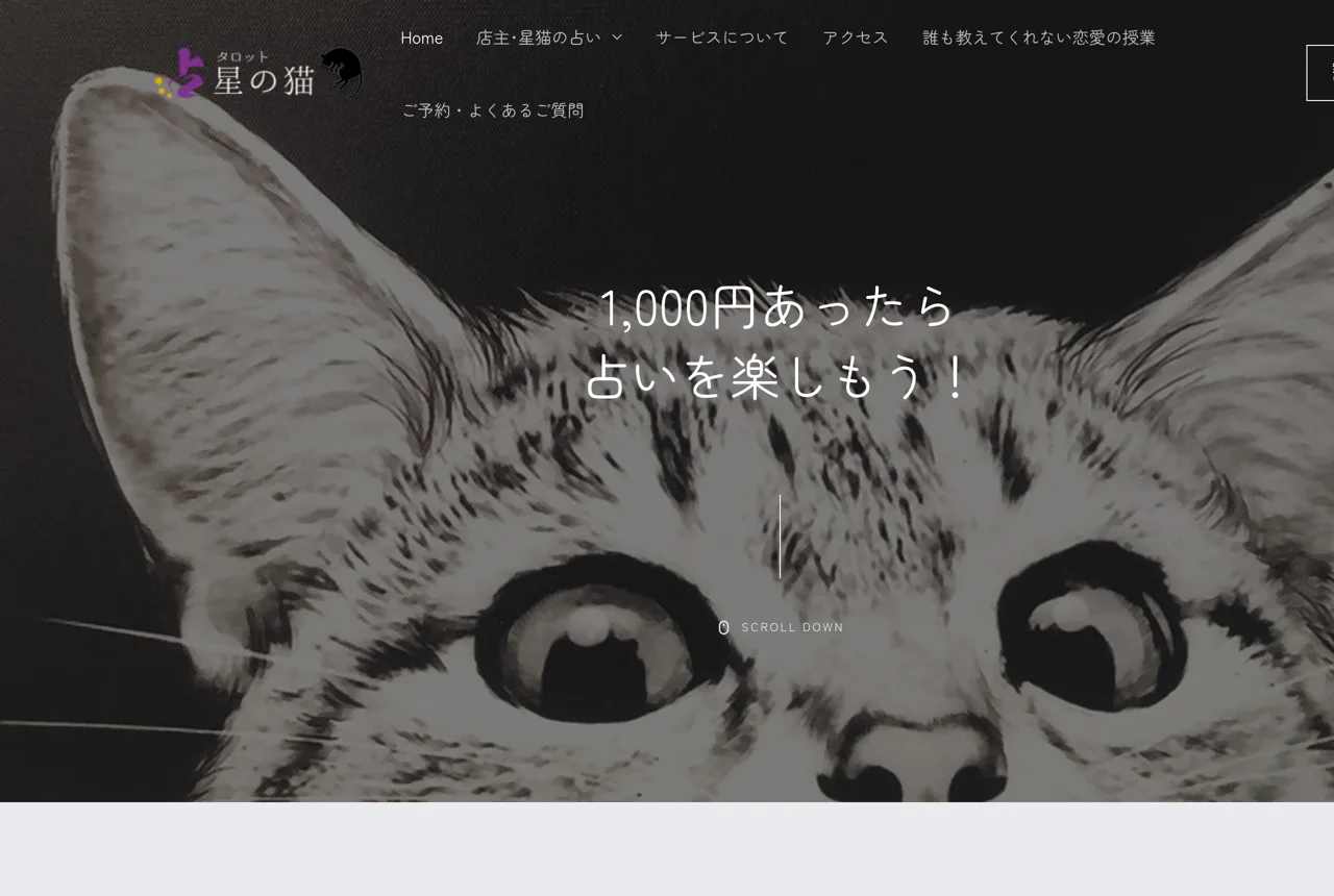 タロット 星の猫の公式サイト