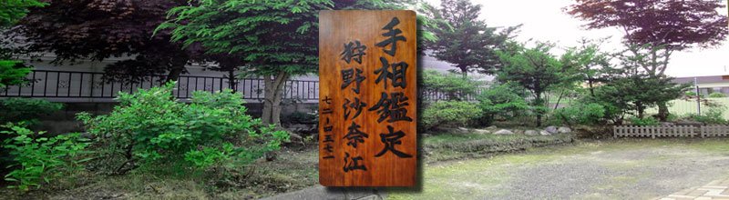 手相鑑定狩野沙奈江