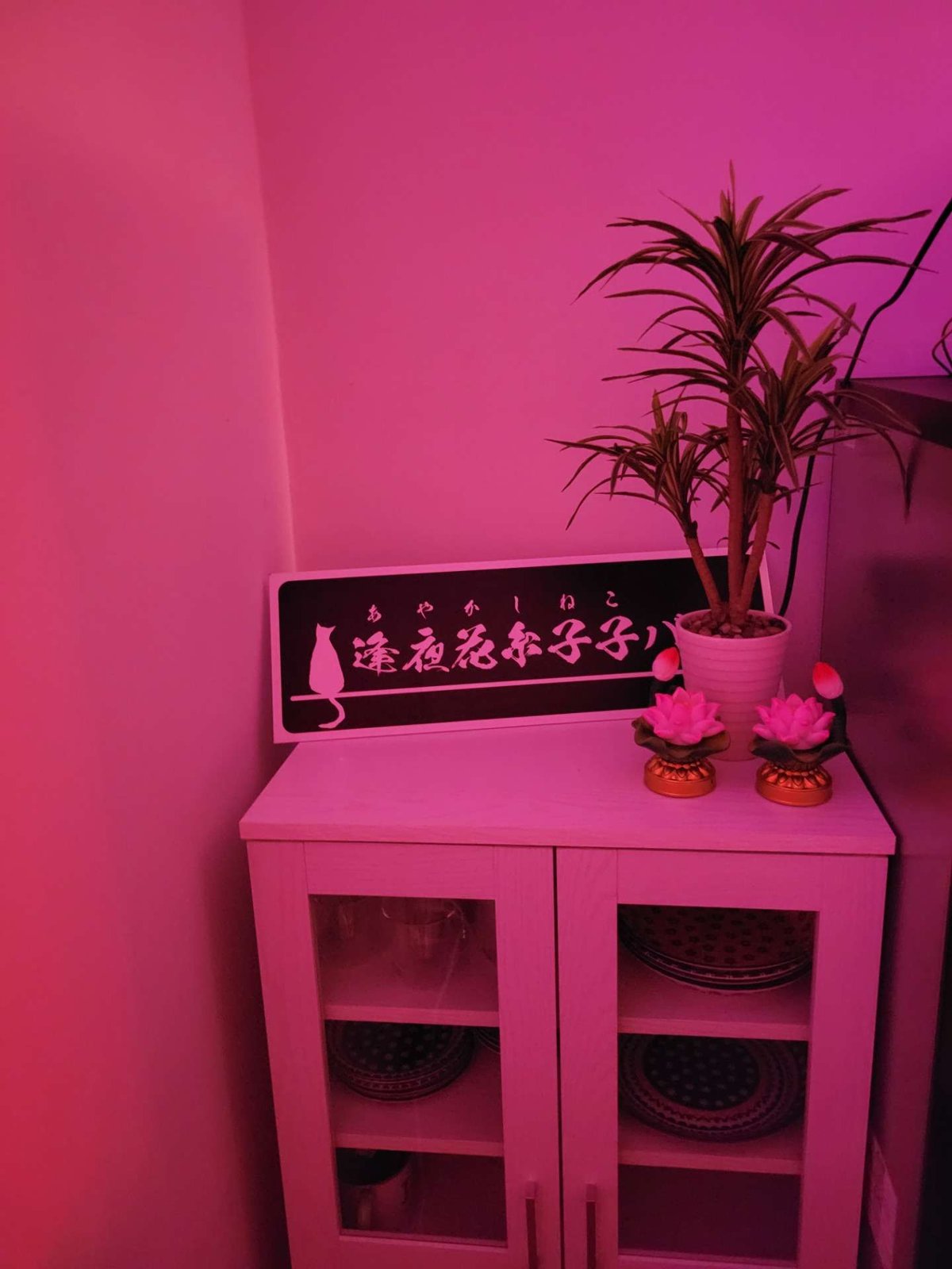 占いバー 晃桜花 逢夜花糸子子bar 浅草橋