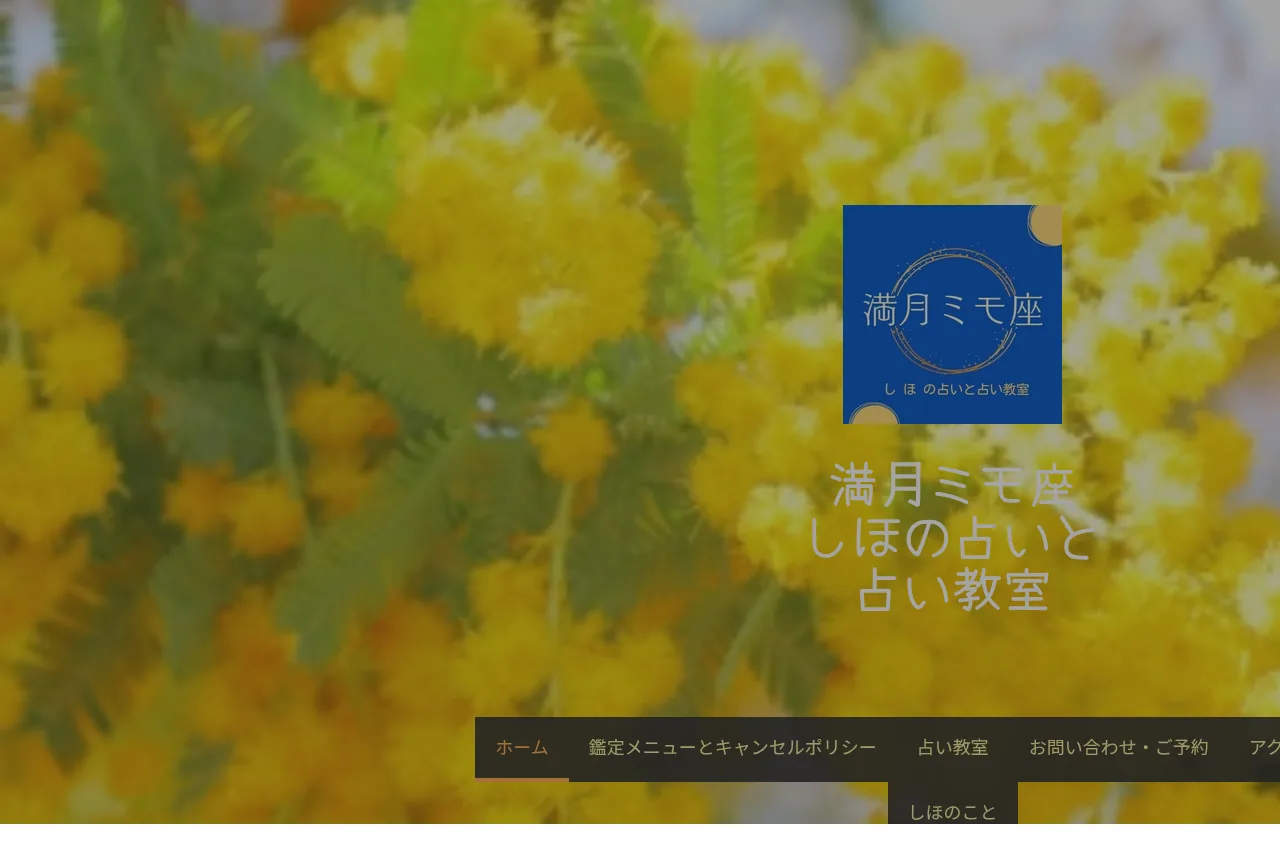 満月ミモ座 しほの占いと占い教室